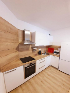 Гостиница Apartment House Kamzik 26  Доновалы